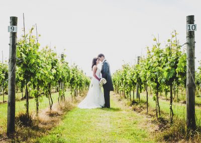 Weddings in a vineyard
