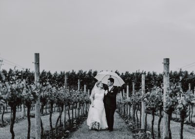 Weddings in a vineyard