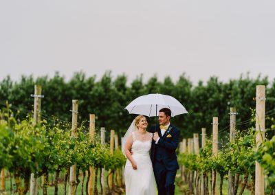 The vineyard